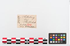 Etiketten zu Bronzeröhrchen (NHMW-PRAE-024757)